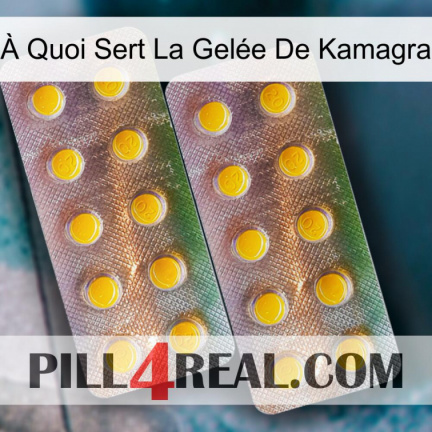 À Quoi Sert La Gelée De Kamagra new10